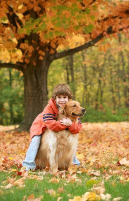 Boy and dog